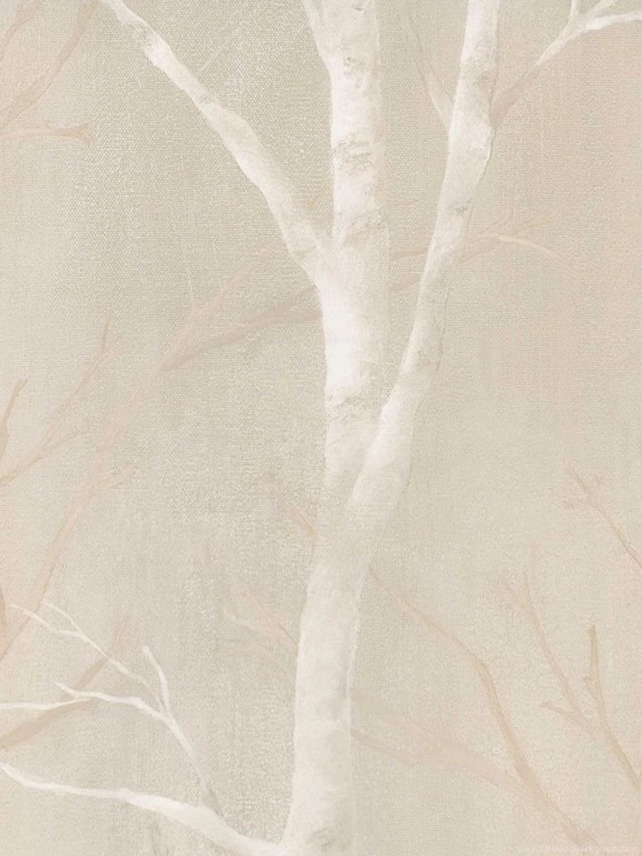 SG50307 ― Eades Discount Wallpapers & Fabric