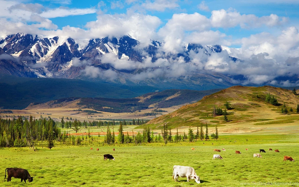 Desktop HD Nature Wallpapers