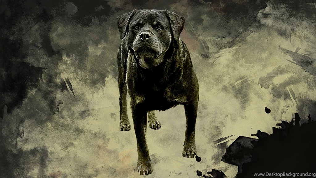 Rottweiler, Dog, Painting, Hd, Wallpaper, Mut, Free, Download ...
