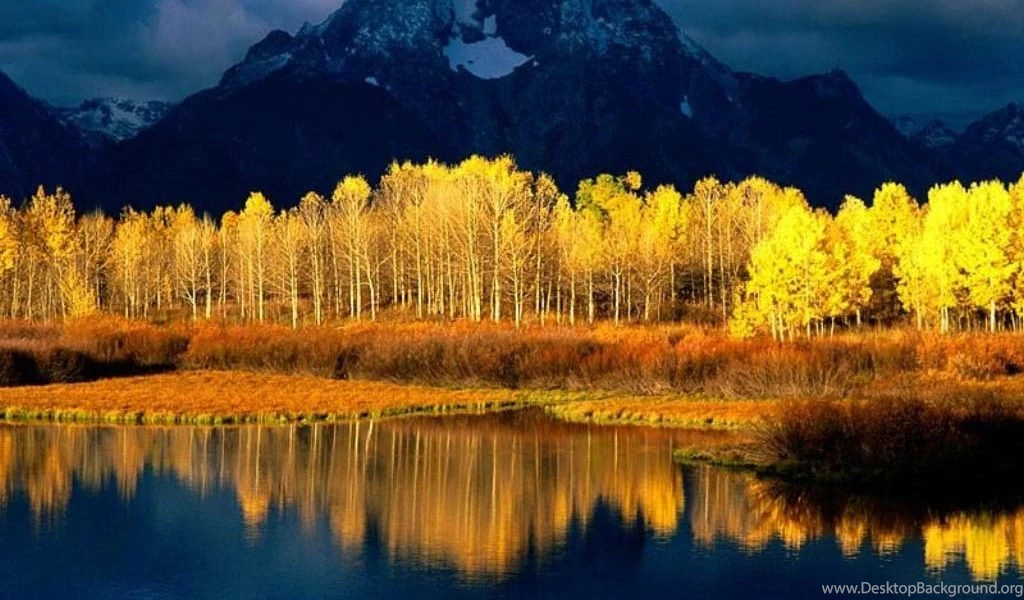 Nature Cool Desktop Backgrounds