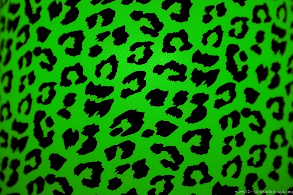 Zebra Glefia.com Wallpapers