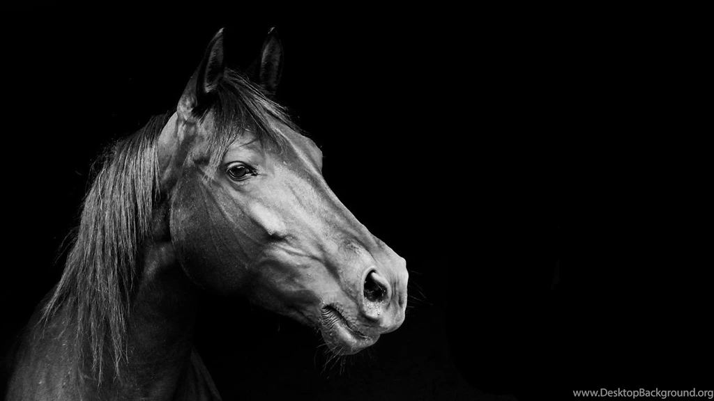 Download Black And Wallpapers 1366x768