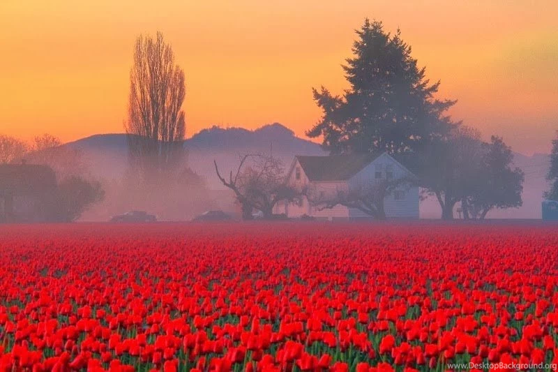 Best Gmail Wallpapers Collection