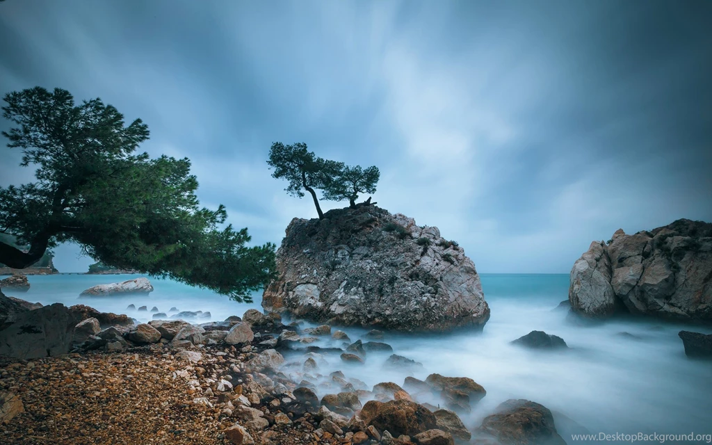 France Coast, Trees, Rocks, The Mediterranean Sea, Blue Sky ...