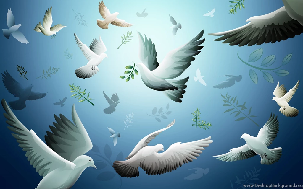 Flying Bird Wallpapers
