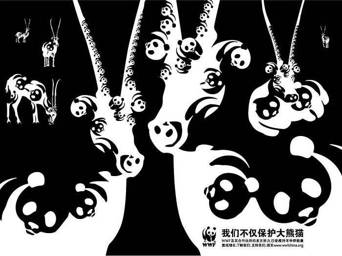 WWF World Wide Fund For Nature (WWF) PSAs Wallpapers 31236 ...