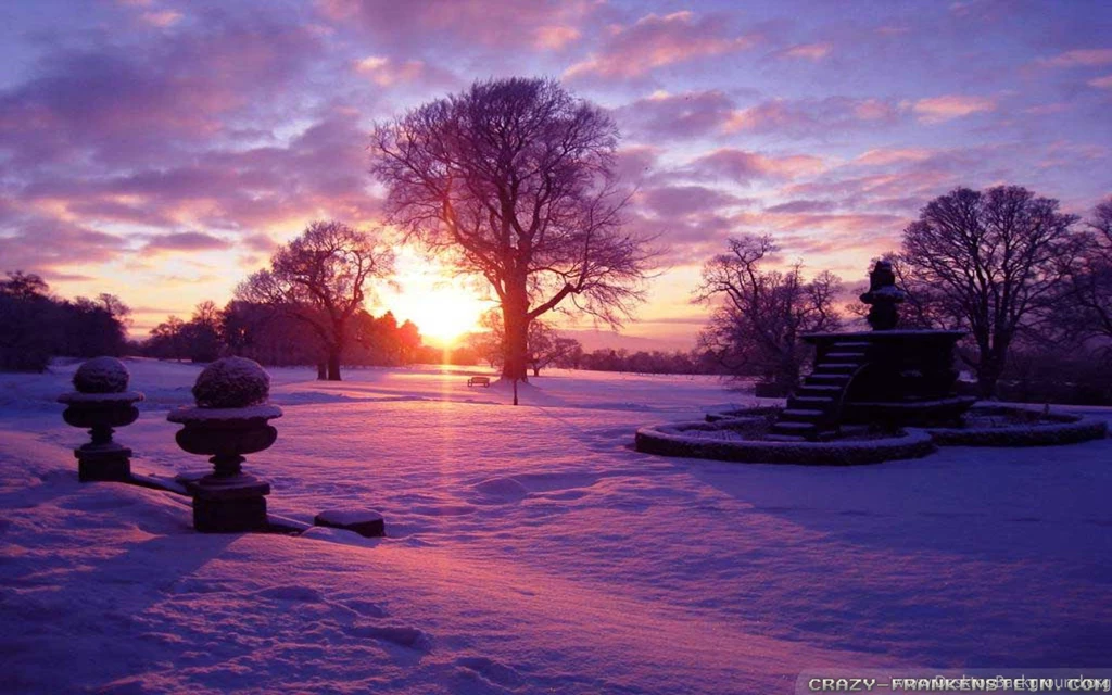 Winter Sun Wallpapers 2 Crazy Frankenstein
