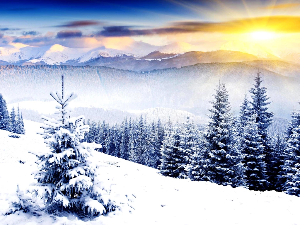 WINTER SUN WALLPAPER (