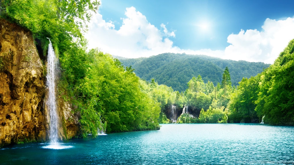 Nature Picture