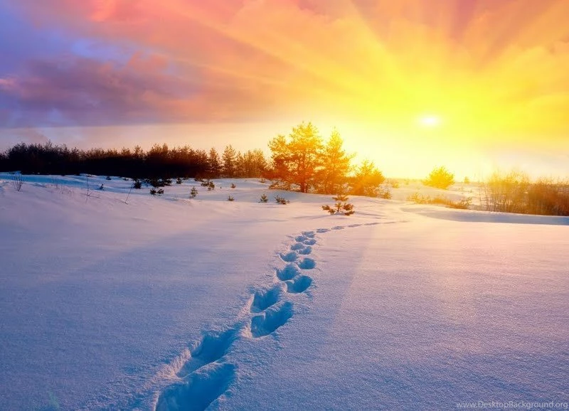 Winter Sun Wallpapers
