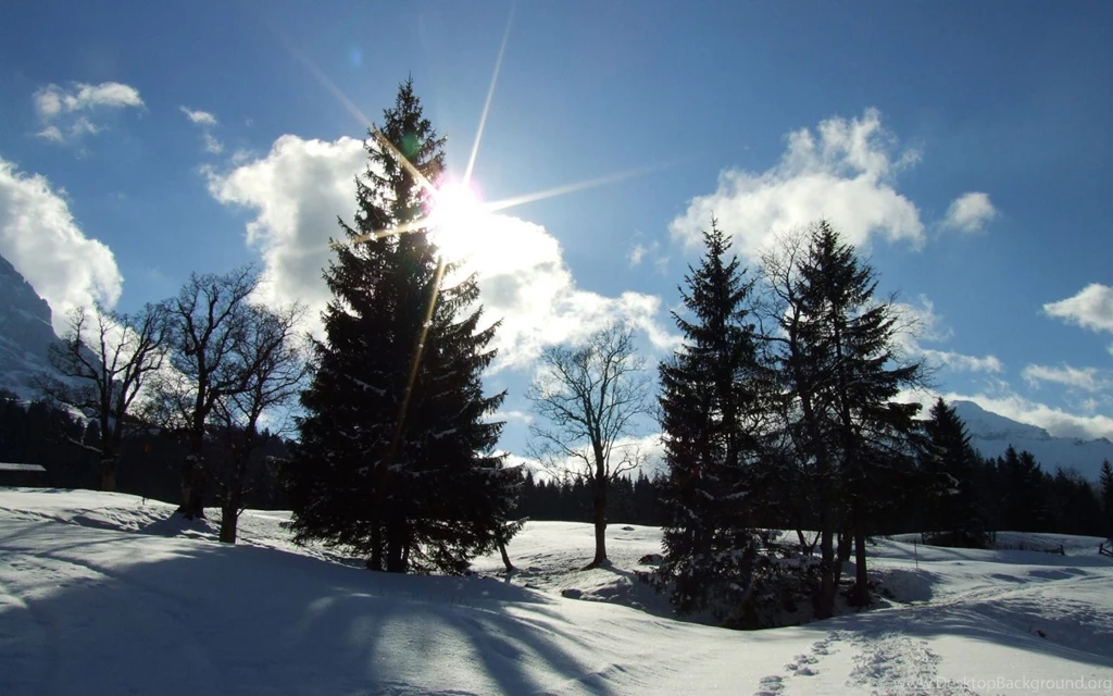 Winter Sun Wallpapers