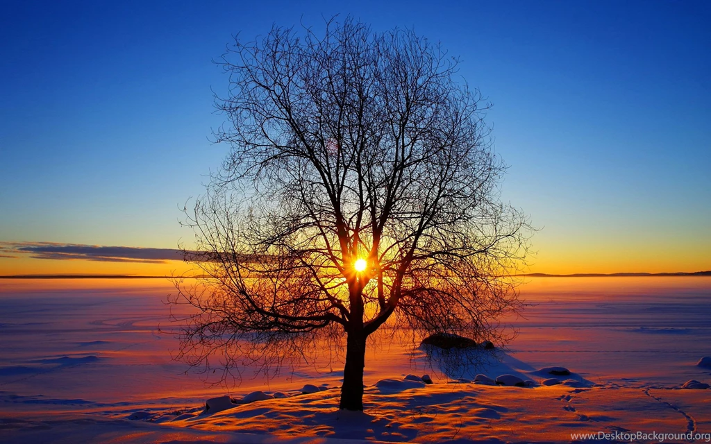Winter Sunshine — Crafthubs
