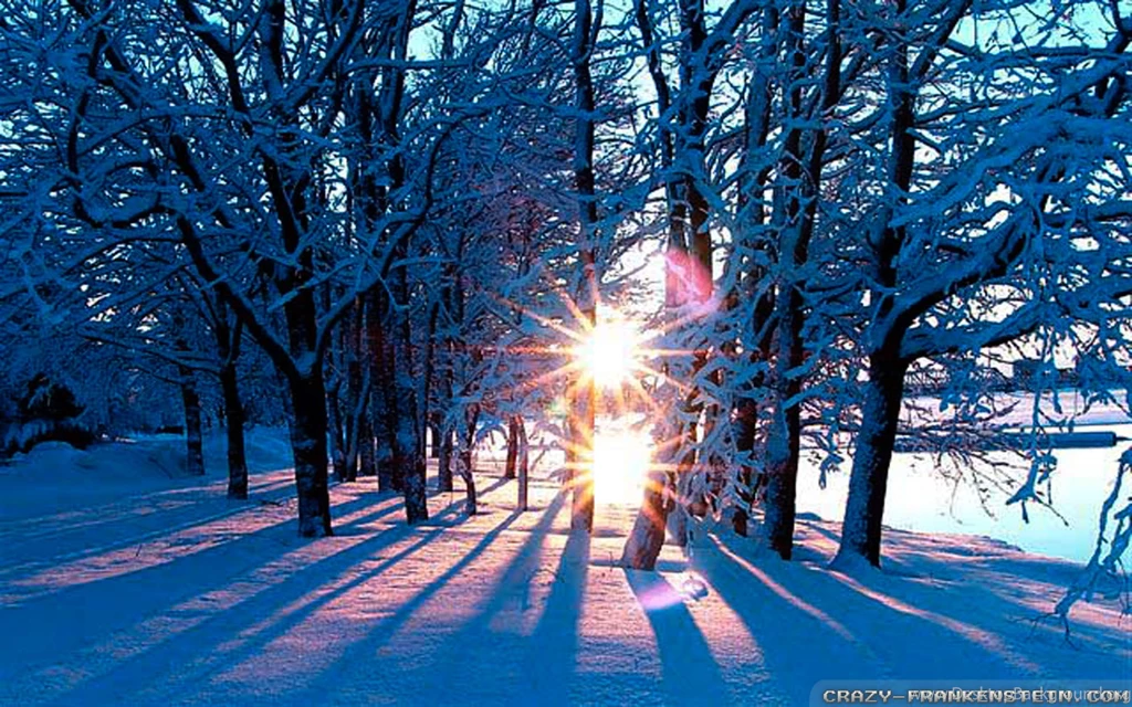 Winter Sun 70169 HD Wallpapers