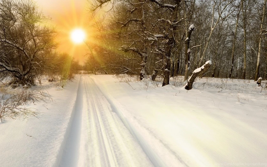 FIRST WINTER SUN WALLPAPER (