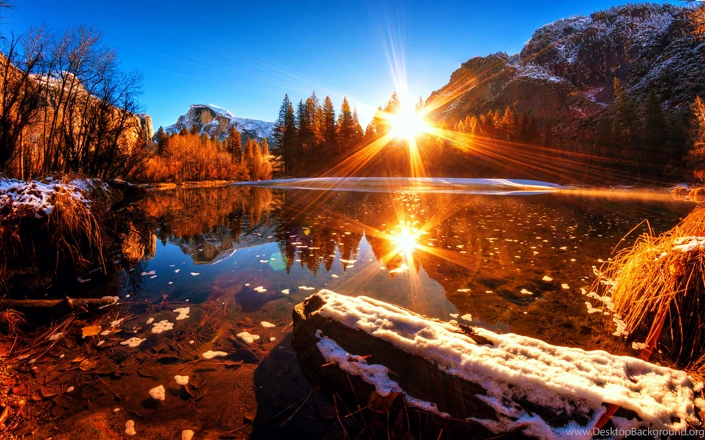 Winter Sun