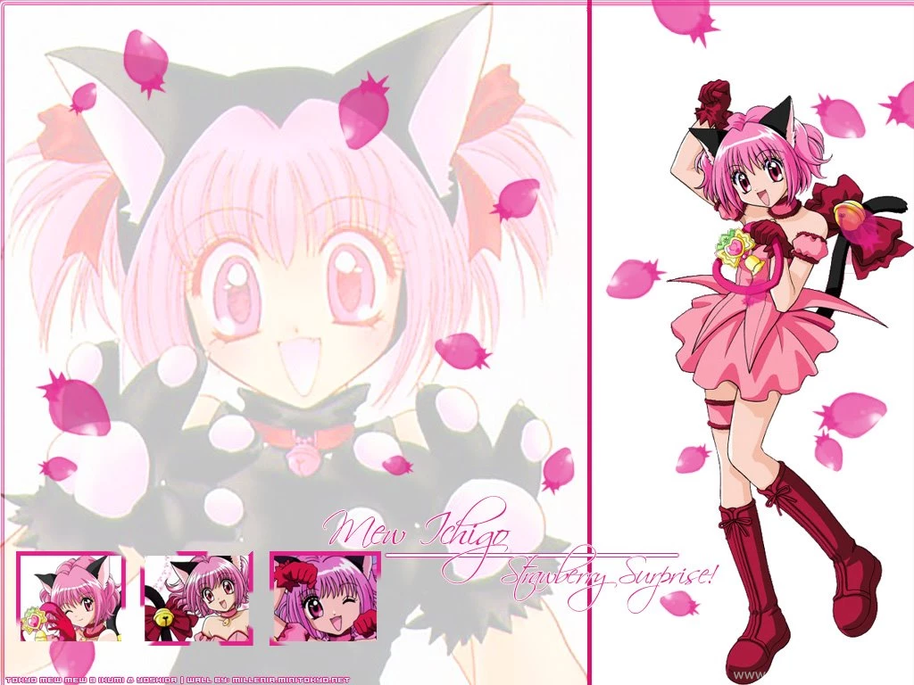 Mew Ichigo Tokyo Mew Mew Wallpapers (24005731) Fanpop