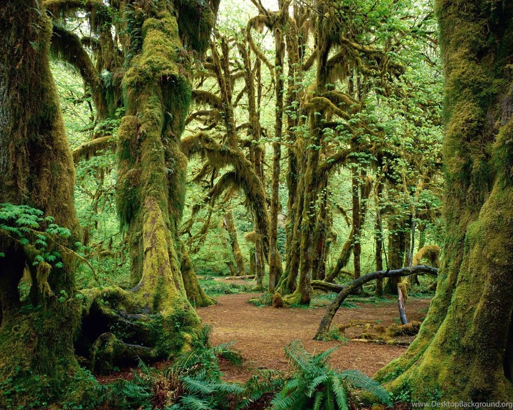 Natural Backgrounds Hd Wallpapers ›› Page 0