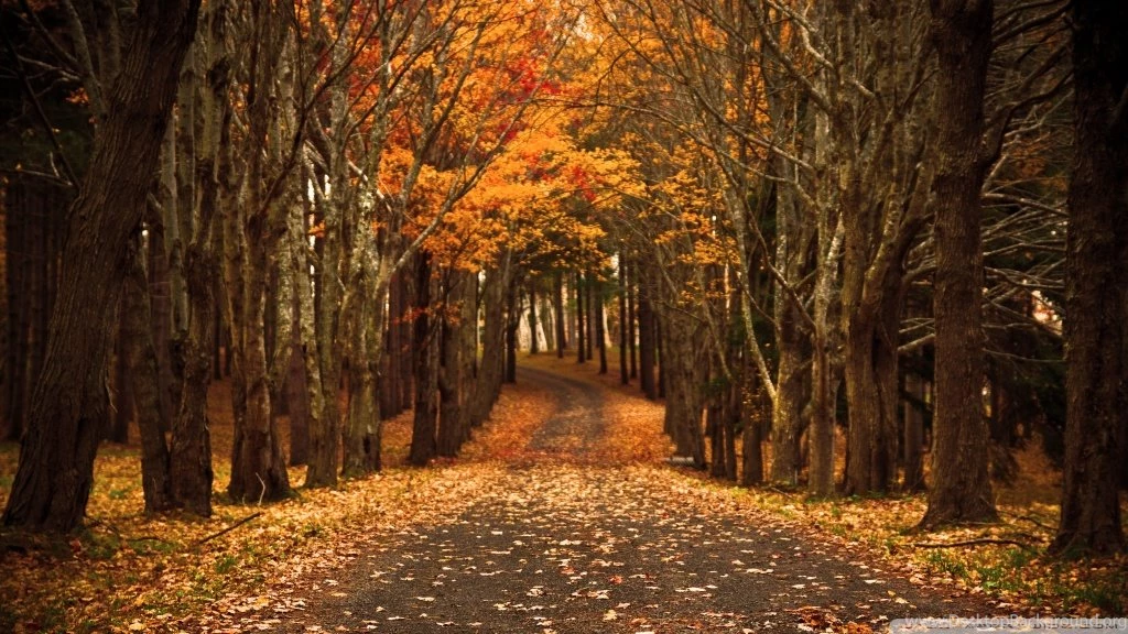 Late Autumn HD Desktop Wallpapers : High Definition : Mobile : Dual ...
