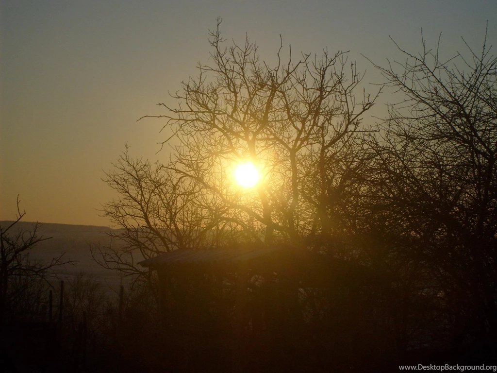 Late Autumn Sunset (