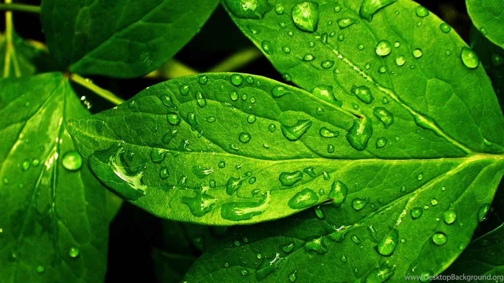 Wallpapers (Computer Desktops/Backgrounds)