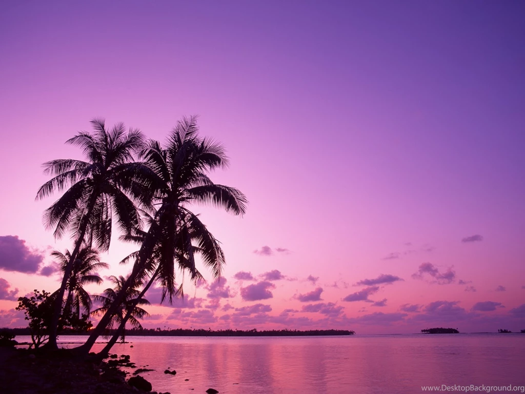 Pink Beach Sunset Backgrounds Desktop Background