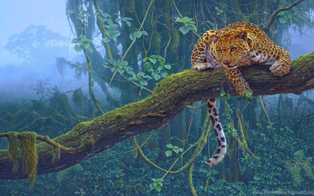 Animals « Best Wallpapers 4 You