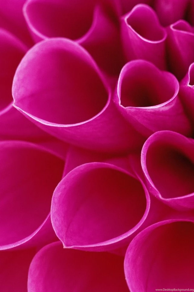 Phone Backgrounds 28 Cool Wallpaper Backgrounds And Wallpapers Home ...