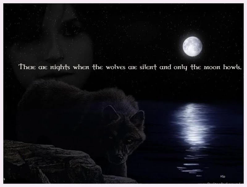 Wolf Wisdom Wallpapers
