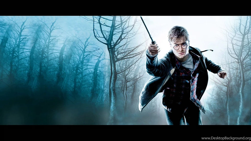 40 Bellatrix Harry Potter And The Deathly Hallows: Part 1: The ...