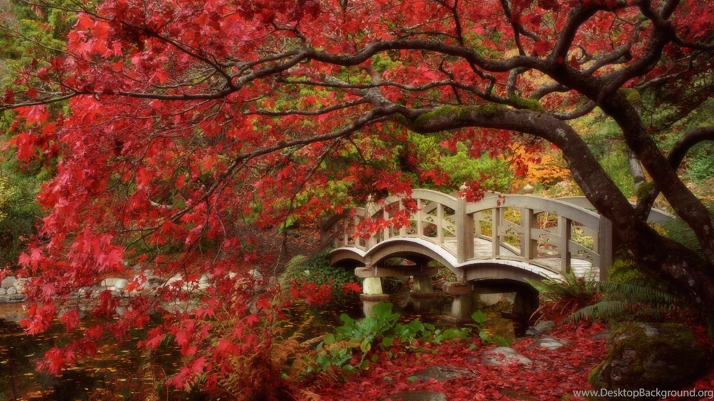 Free Wallpapers Download PC Desktop Best HD Desktop Wallpapers ...