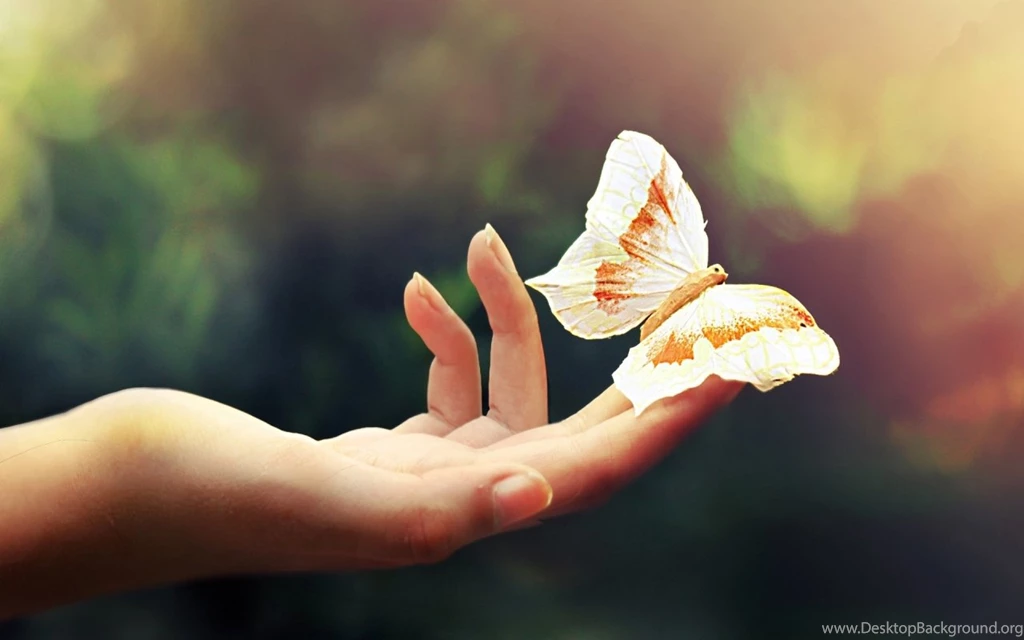 Incredible Desktop Wallpapers By TheMobileStuff 138 1280 X 800 ...