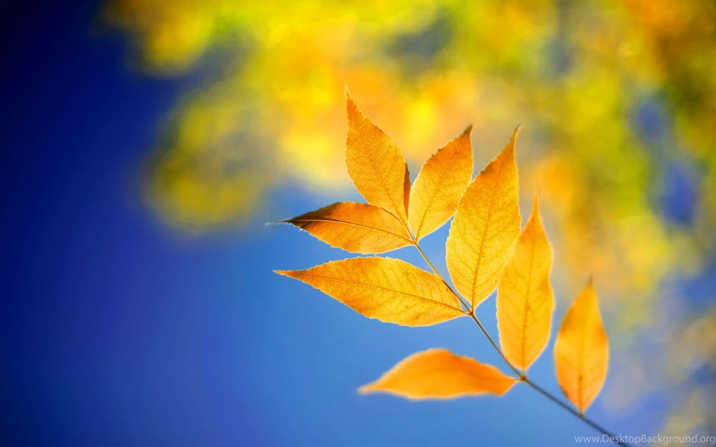 Lock Screen Wallpapers Windows 8 – 1920×1200 High Definition ...