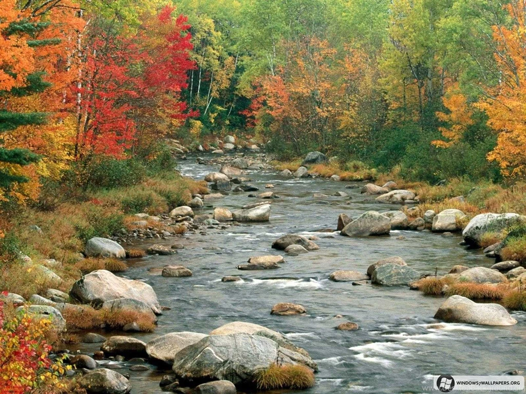 30+ Beautiful High Quality Nature Wallpapers For Windows 7 Ntt ...
