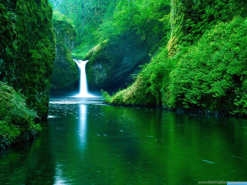 Nature HD Wallpapers Realistic Backgrounds High Quality Bliz Pix