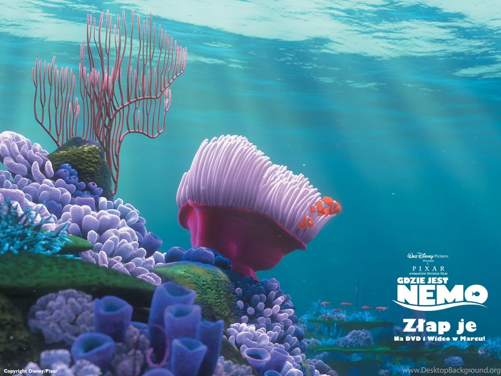 Finding Nemo Backgrounds