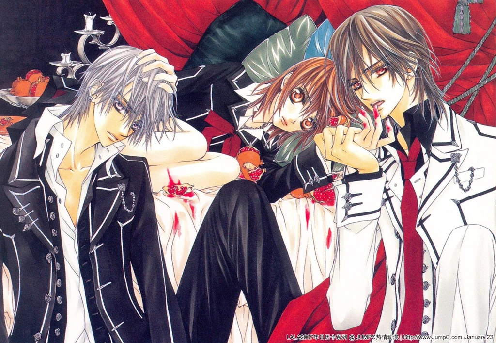 Vampire Knight Anime Wallpapers HD (38 Photos)