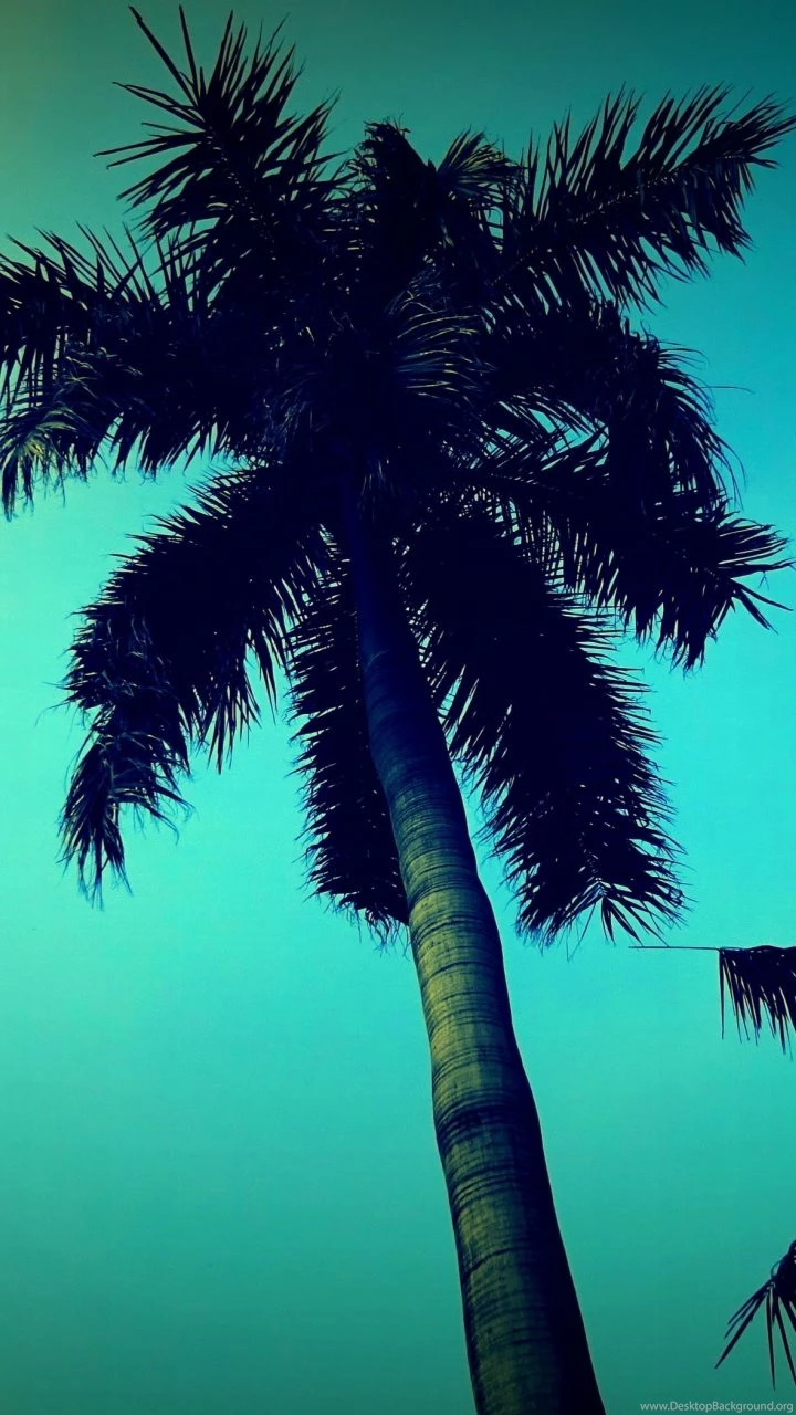 Tall TreeSamsung Wallpapers Download