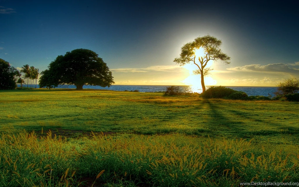 Spring, Wallpapers, Nature, Backgrounds (