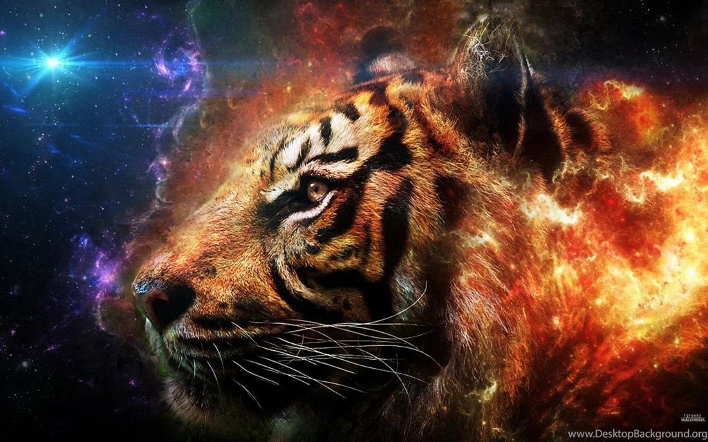 Tiger HD Desktop Wallpapers