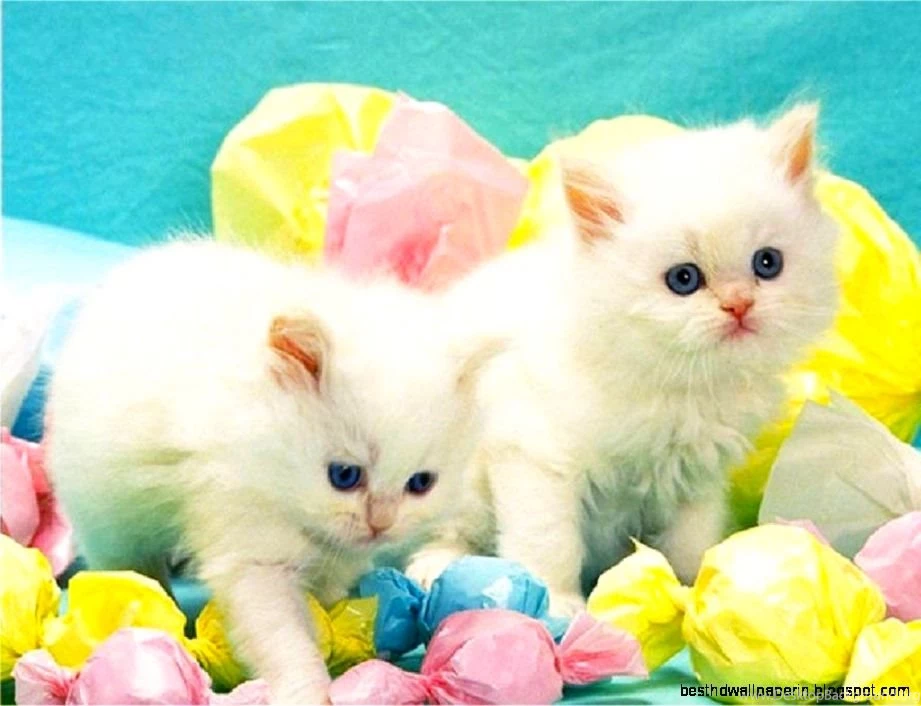 Cute Easter Backgrounds