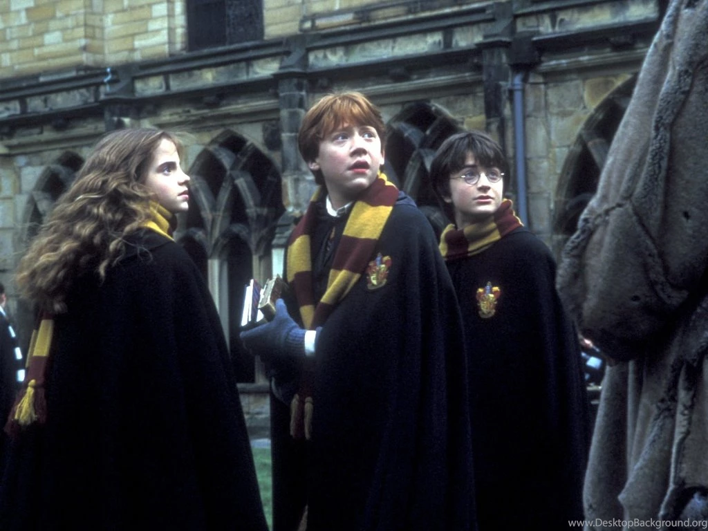 Harry Potter And The Chamber Of Secrets (2002) Books Male ...