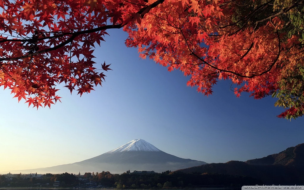 Autumn, Mount Fuji, Japan HD Desktop Wallpapers : High Definition ...