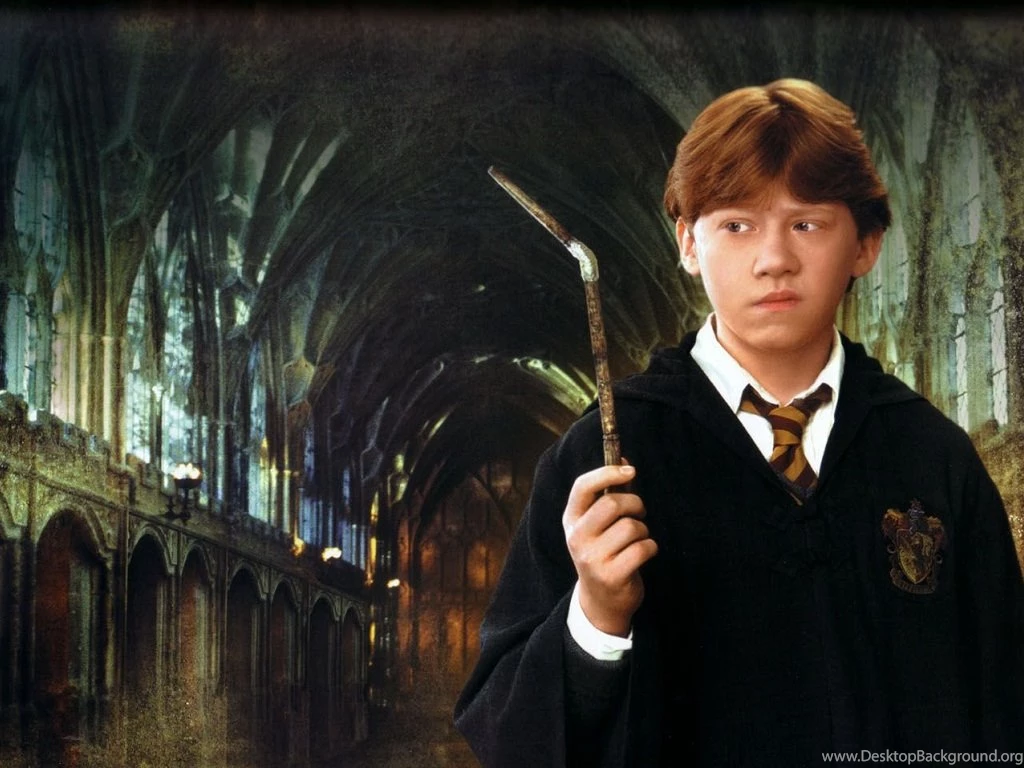 Harry Potter And The Chamber Of Secrets (2002) Books Male ...