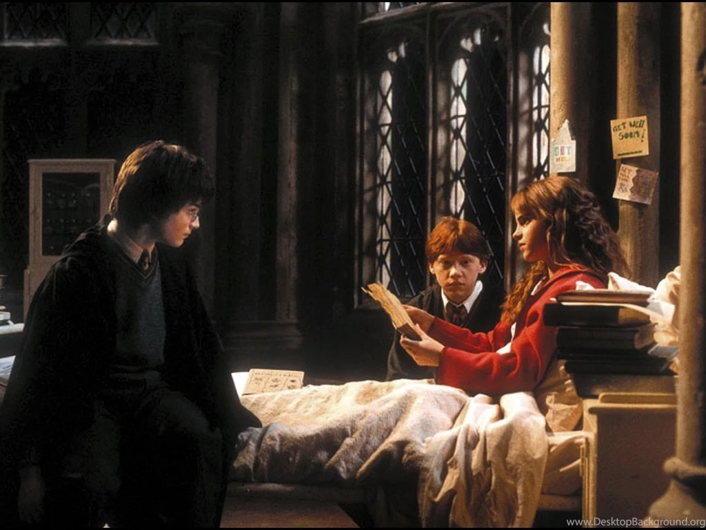 Harry Potter And The Chamber Of Secrets (2002) Books Male ...