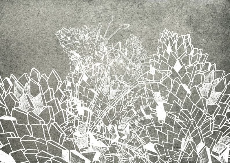 Paper Wallpapers / Contemporary / Patterned DRAWING By Wladimiro ...