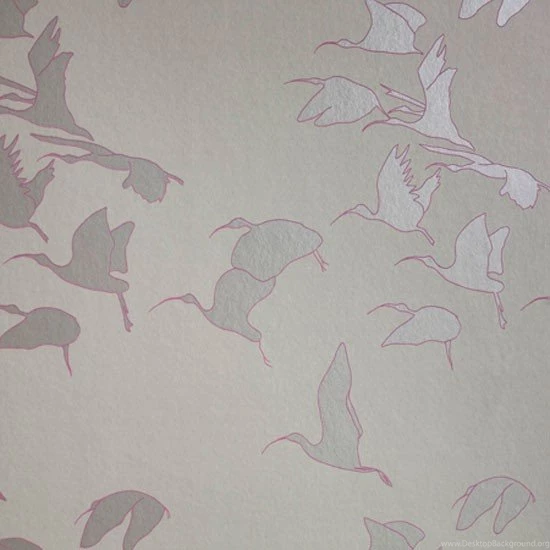 Bird Wallpapers From Rockett St George Contemporary Wallpapers ...