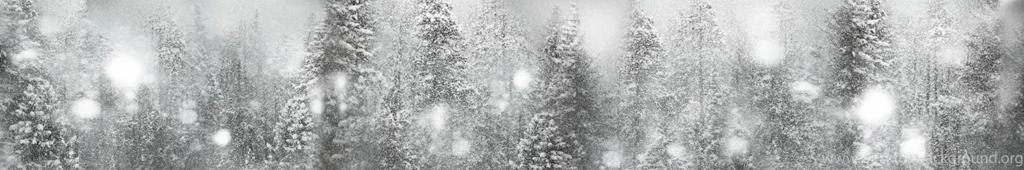 Contemporary Wallpapers / Nature Pattern / Printed / Photo   SOFT ...