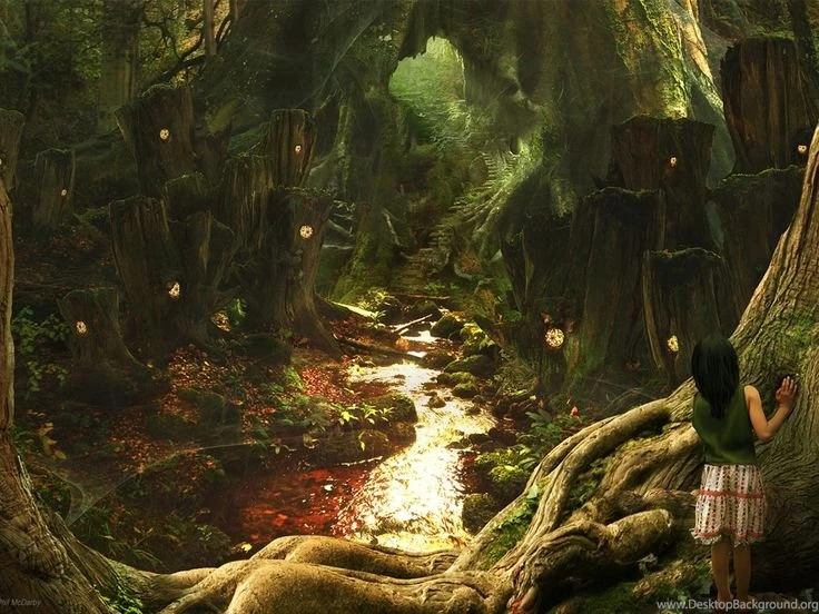 Hd Wallpapers Mysterious Forest Wallpapers Desktop Background Hd Wallpapers Mysterious Forest Wallpapers Desktop Background