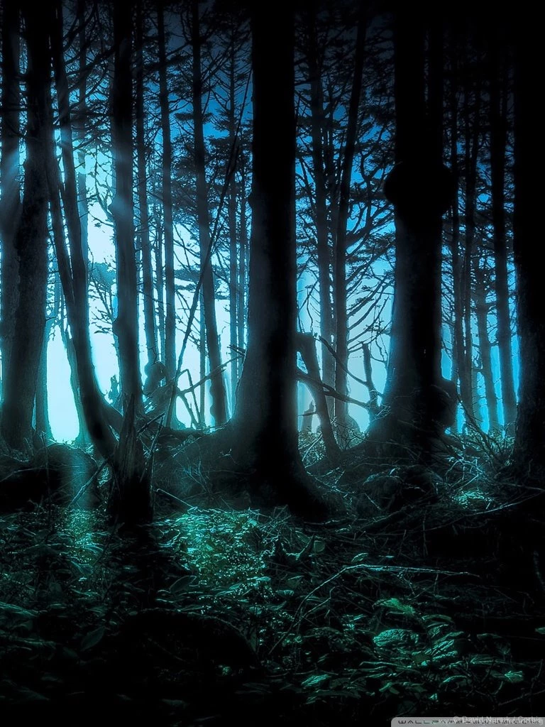 Mysterious Forest HD Desktop Wallpapers : Widescreen : High ...