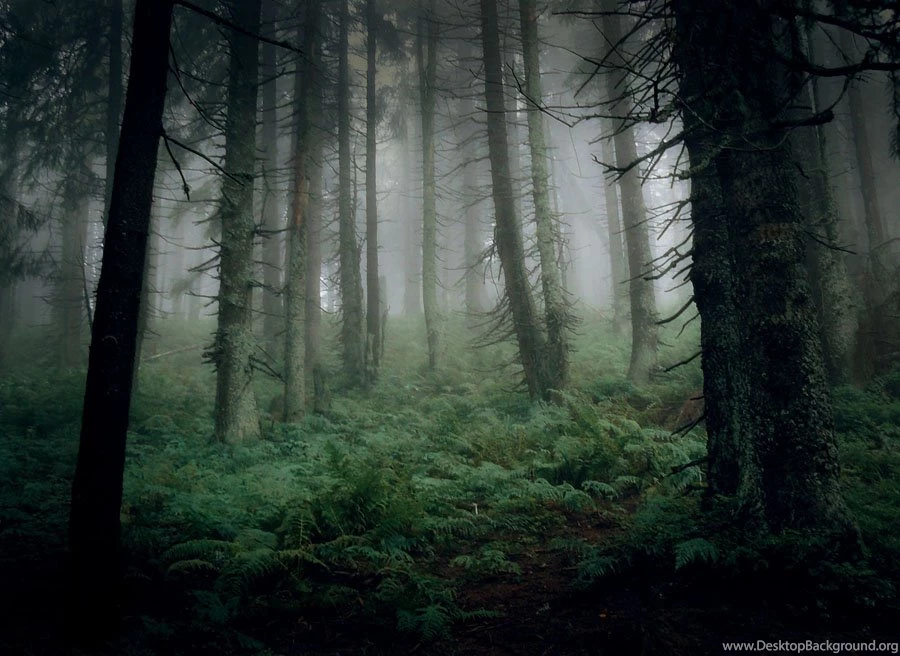 Mysterious Pictures